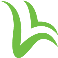 Kế Toán Việt Hưng