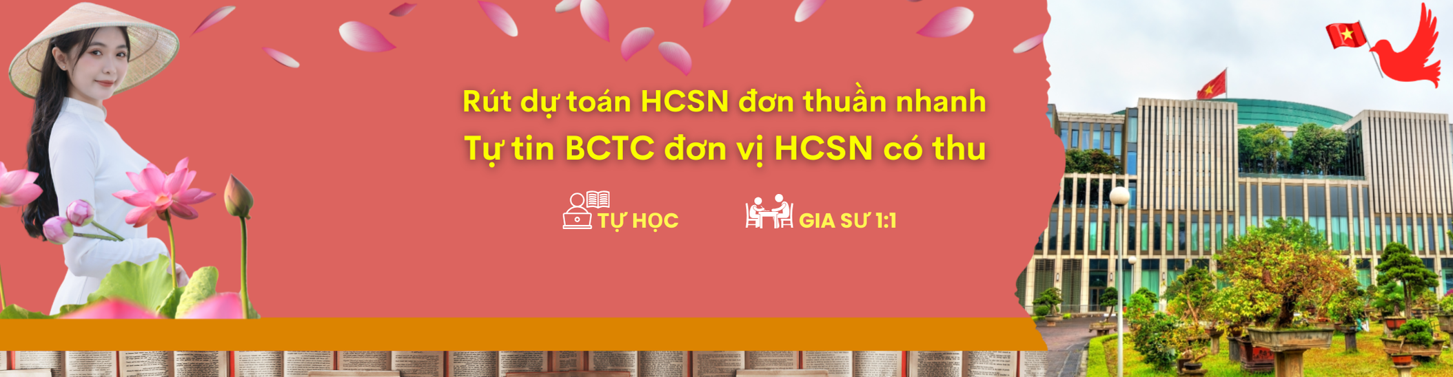 Kế toán tổng hợp HCSN Đơn Thuần